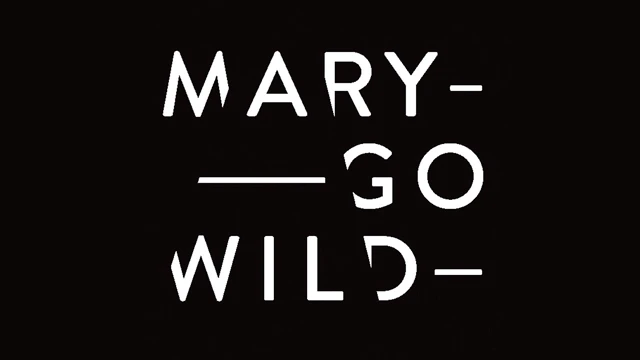 ga naar WERC part of the Mary Go Wild book presentation at ADE Rabozaal Melkweg - Amsterdam